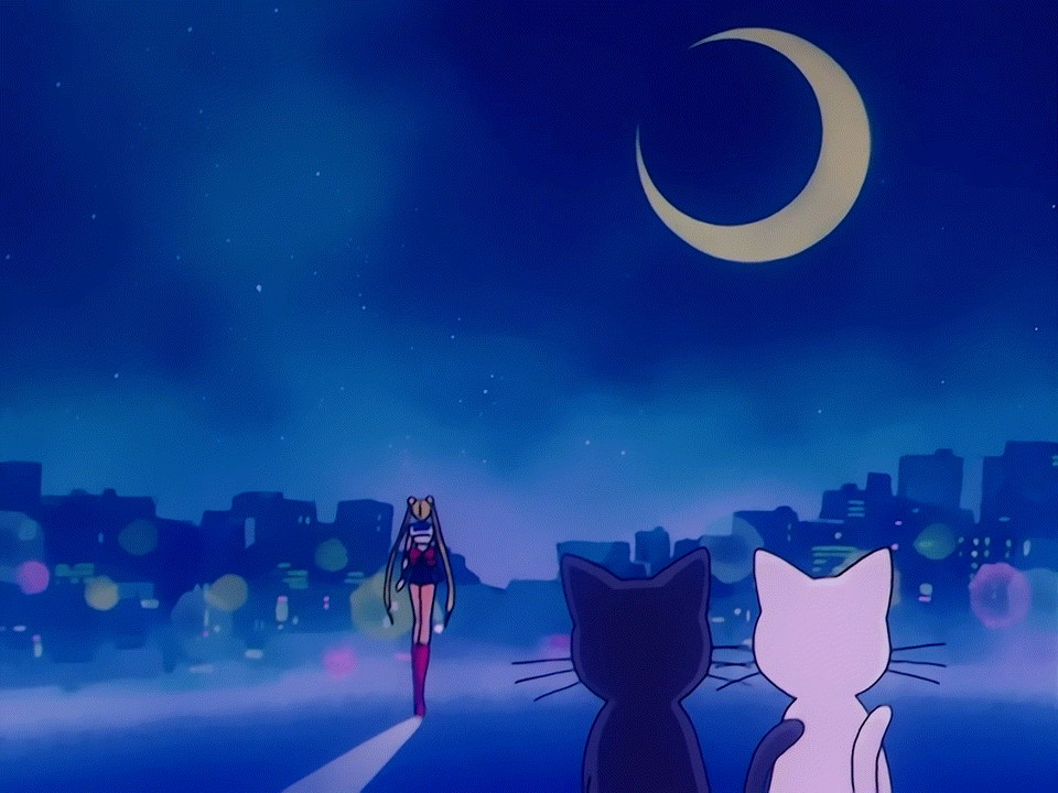 sailor moon, luna, artemis, and the moon